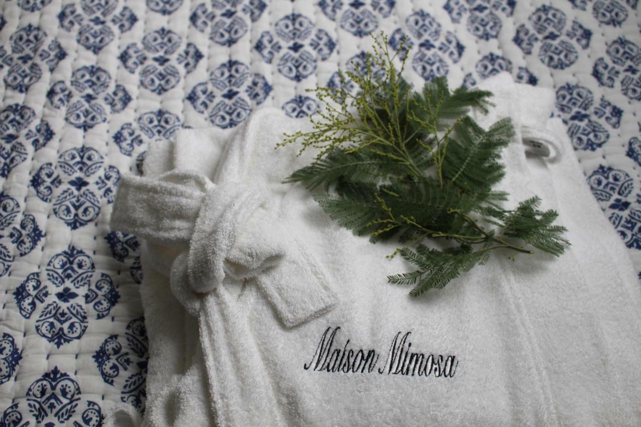 Maison Mimosa Névez Εξωτερικό φωτογραφία